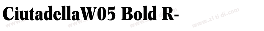 CiutadellaW05 Bold R字体转换